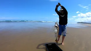 Big snapper on the 90 mile beach - Dodging cyclones and floods - back on the magical 90 - part 1