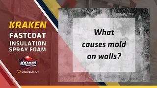 What Causes Mold on Walls? | Kraken FastCoat Insulation Foam Application