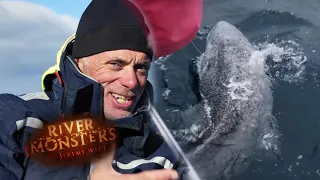 Fighting A Greenland Shark | SHARK | River Monsters