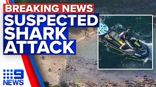 Human remains found after suspected shark attack in Sydney | 9 News Australia