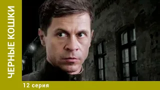 Черные кошки. 12 Серия. Детектив. Лучшие сериалы