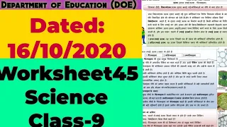 Class 9 Science Worksheet 45 Hindi Medium | Worksheet 45 Class 9 Science | Vigyan 16 October 2020