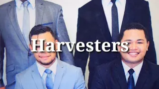 The Harvesters - O Nisi Taimi (Lyric Video)