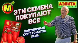 Популярный Сорт Томата для Открытого Грунта – СОРТ ЛЕЛЬ