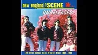 Various – New England Teen Scene... Unreleased! 1965-1968 Psychedelic Garage Rock Pop Music Album LP