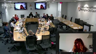 Wellington City Council - Strategy and Policy Committee - 25 June 2020