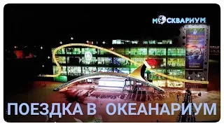 Поездка в океанариум "Москвариум"