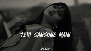 Teri Sansone Main Asa Bas Joun || (Slowed Reverb) - Song