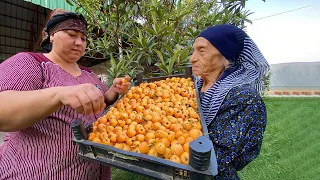 PARADISE APPLES | MAKING HOMEMADE APPLE JAM