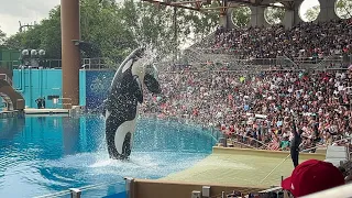 Cancelled Orca Encounter | SeaWorld Orlando | May 18, 2024