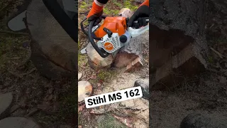 Stihl MS 162 #motorsäge #stihl #chainsaw #brennholz #kettensäge #wood #stihlchainsaw #woodworking