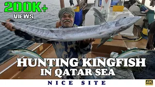 வஞ்சரம் மீன் வேட்டை Kingfish Catching In Fishing Net Qatar