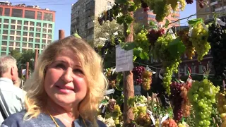 Московский клуб виноградарей. Выставка в Аптекарском огороде МГУ 7.09.2019г.