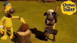 Shaun the Sheep 🐑 Coconut?!? - Cartoons for Kids 🐑 Full Episodes Compilation [1 hour]