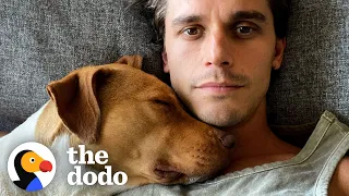 Will Queer Eye’s Antoni Porowski Foster Fail This Pittie? | The Dodo You Know Me Now Meet My Pet