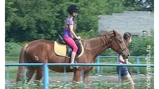 В Курске построят современный конноспортивный комплекс