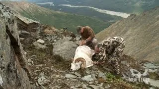 How to Cape a Dall Sheep for Taxidermy with Steven Rinella - MeatEater