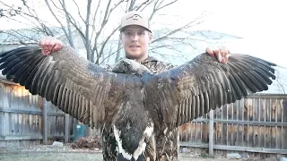 How to Field Dress a Goose - Breasting out a bird