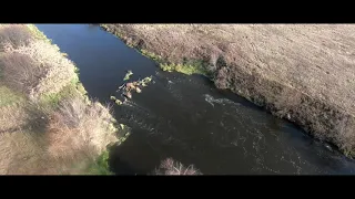 Полёт над селом Панковичи, Тульская область, река Упа
