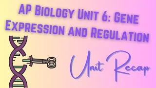 Unit 6: Gene Expression and Regulation AP Biology RECAP