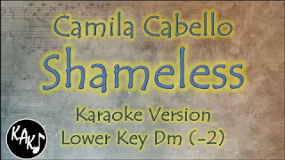 Camila Cabello - Shameless Karaoke Instrumental Lyrics Cover Lower Key Dm