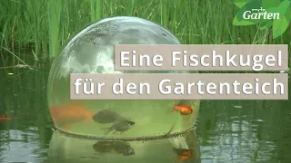 Einen Fischkugel für den Gartenteich | MDR