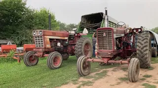 The neighbors are cutting corn silage and bagging it