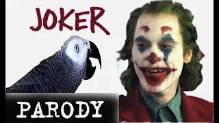 ✅Жако Петруня точно СКОПИРОВАЛА смех ДЖОКЕРА🔥the PARROT  COPIES  the Joker LAUGH