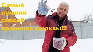 ЛУЧШИЙ СПОСОБ ХРАНЕНИЯ КЛЮКВЫ ЗИМОЙ!!!