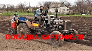 Посадка Картофеля Самодельным Трактором и Самодельной Картофеле Сажалкой !