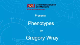 Phenotypes | Gregory Wray