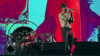 Red Hot Chili Peppers - Tippa My Tongue (Live) 4K