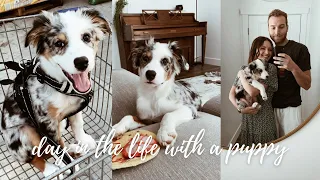 DAY IN THE LIFE WITH A PUPPY!! - 5 month old Australian Shepherd