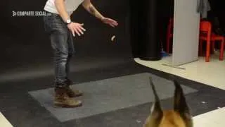 Truco de Magia Mira como Reaccionan los Perros