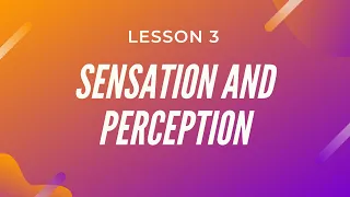 Sensing And Perceiving The World - Cognitive Psychology Lesson # 3