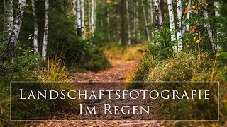 LANDSCHAFTSFOTOGRAFIE bei REGEN | Im größten Hochmoor Österreichs