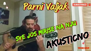 Parni Valjak - Sve jos mirise na nju. PESMA+LEKCIJA NA GITARI.