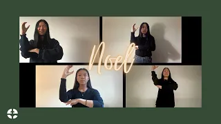 Noel - Lauren Daigle (American Sign Language Worship)