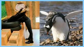 迪麗熱巴與小動物的表情神同步，網友直呼：熱巴真是太可愛了！