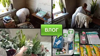 Я СДЕЛАЛА ЭТО ХОТЬ И БЫЛО НЕ ЛЕГКО/КУПИЛА ПРОДУКТЫ И УХОДОВЫЕ СРЕДСТВА ПО АКЦИИ/ОБЕД/ДОМАШНИЙ ВЛОГ