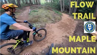 Flow Trail on Maple Mountain with Cycle Therapy Bikes Duncan