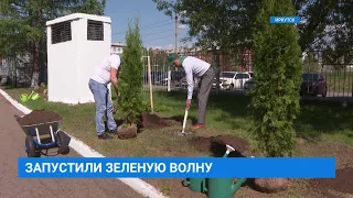 Энергохолдинг Эн+ провел акцию по высадке деревьев “Зеленая волна”