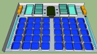 Tilapia Recirculation Aquaculture System Design