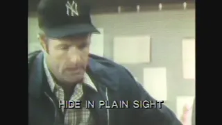 Siskel & Ebert / Hide In Plain Sight / 1980