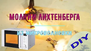 МОЛНИИ ЛИХТЕНБЕРГА из МИКРОВОЛНОВКИ