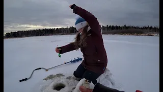 Взял Машу на ПЕРВЫЙ ЛЕД!! ЩУКА, ОКУНЬ, ПЛОТВА КЛЮЕТ))) Рыбалка на блесну,мормышку и жерлицы!