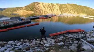 Pyramid Lake Castaic Lake Trout fishing