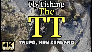 Fly fishing The TT - Taupo, New Zealand