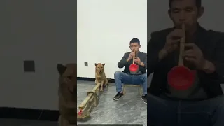 A best combination of instruments man and dog#funny #instrumental #dog #wonderful