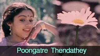 Poongatre Thendathey - Mohan, Ilavarasi - Kunguma Chimizh - Super Hit Romantic Song